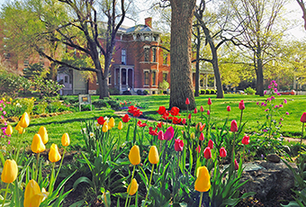 Photograph of colorful tulips with the Harrison home in the background on a sunny day. The tulips are red, pink, and yellow, in full bloom.