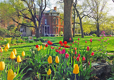 Photograph of colorful tulips with the Harrison home in the background