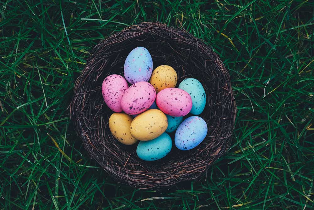 photograph of a birds nest containing colorful speckled pink, blue, and yellow eggs resting on a verdant green lawn.